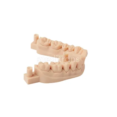 Formlabs Form Żywica do drukarki 3D Dental Model V2 1l — фото 3