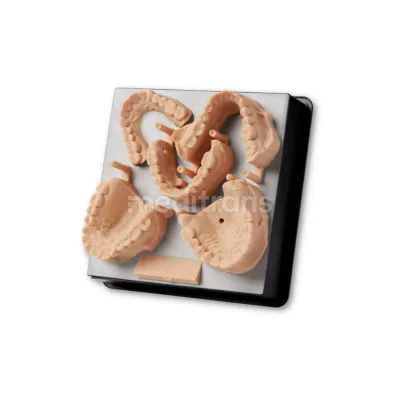 Formlabs Form Żywica do drukarki 3D Dental Model V2 1l — фото 5