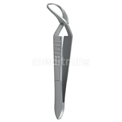 Шпинат в сервировке PrimaDent JONES