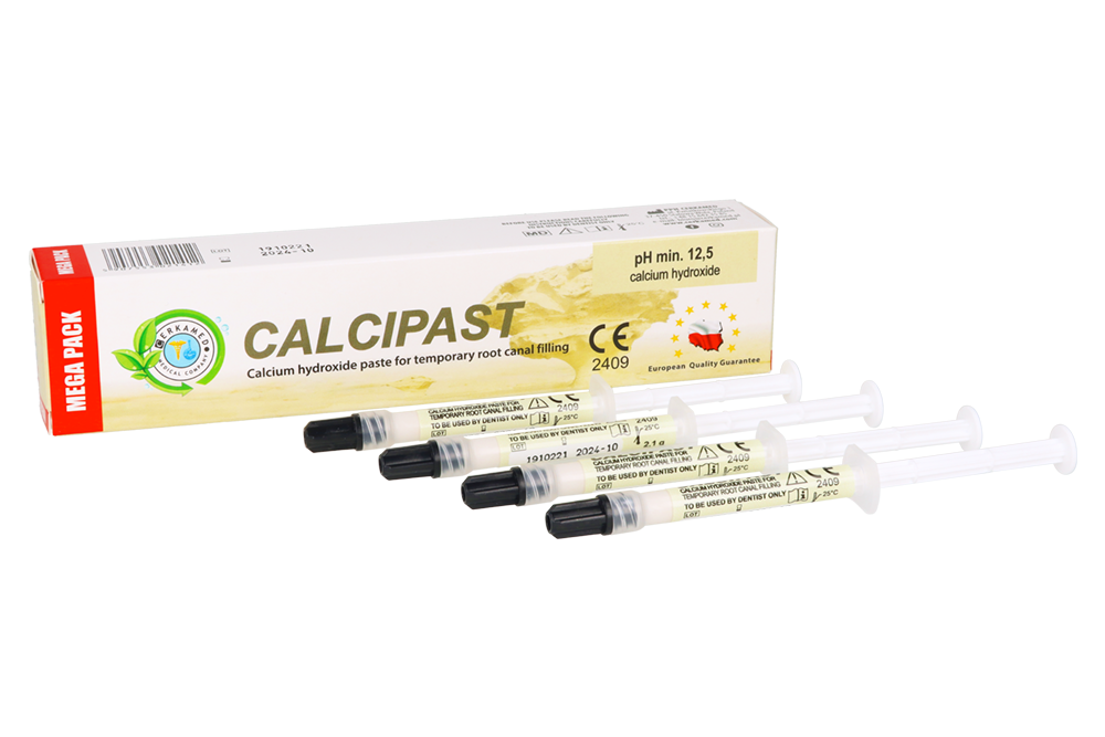 Кальциевая гидроксид-паста CALCIPAST MEGA PACK 2,1 г x 4 шт. Церковь