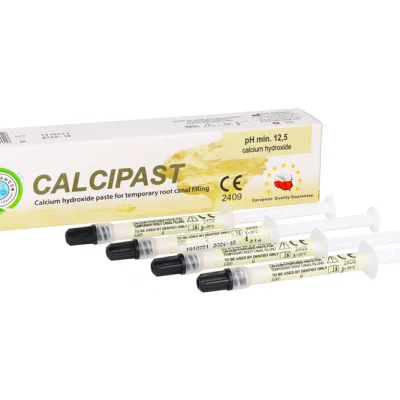 Кальциевая гидроксид-паста CALCIPAST MEGA PACK 2,1 г x 4 шт. Церковь