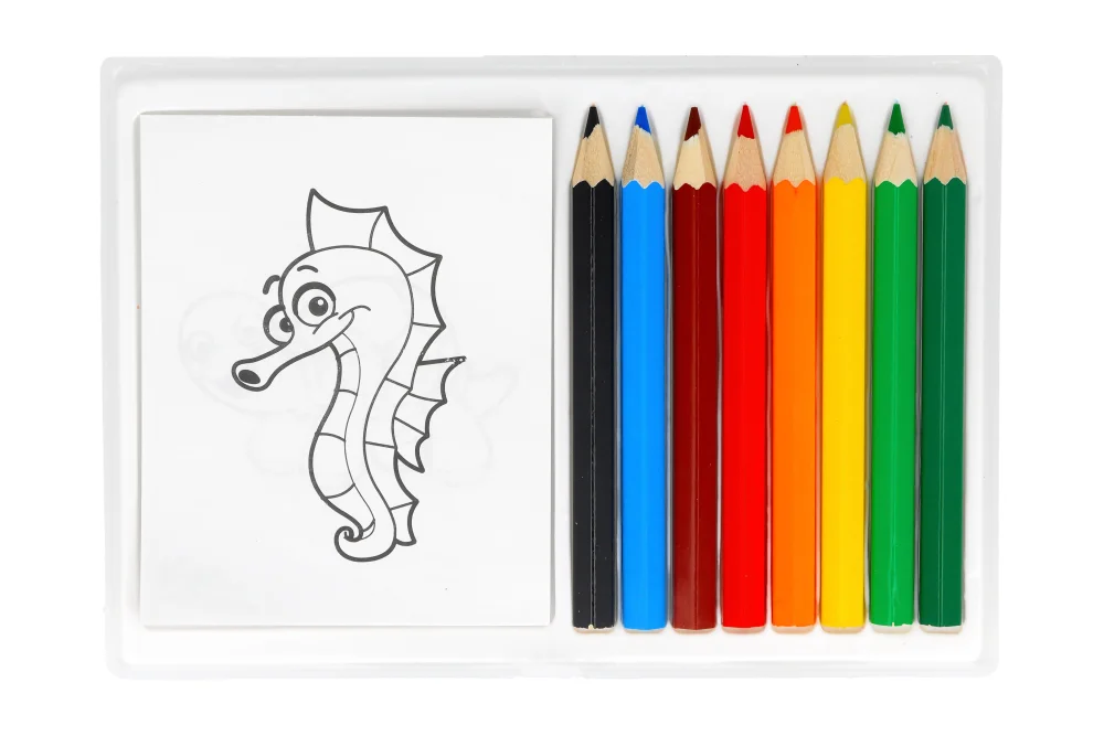 Игрушка – раскраска + карандаши