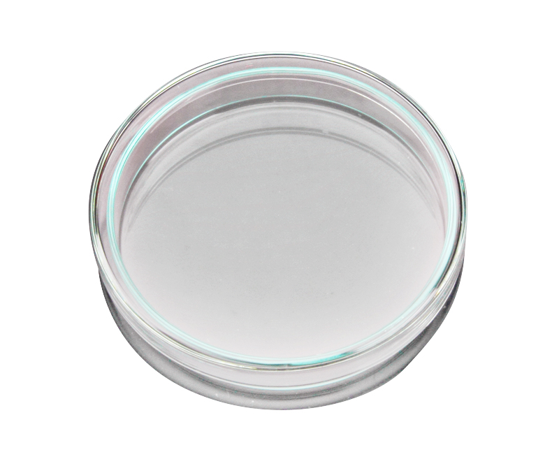 Чашка Петри