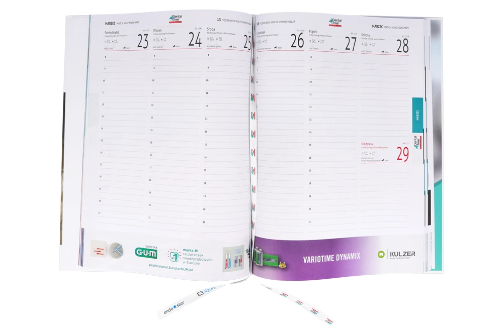 Ежедневник стоматолога А4 2026, образец 2